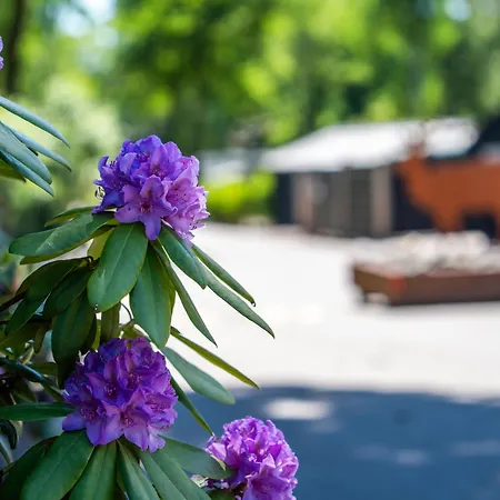 Tiny House By Interhome * Hoenderloo