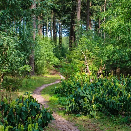 Tiny House By Interhome * Hoenderloo