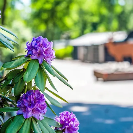 Tiny House By Interhome Dom wakacyjny Hoenderloo