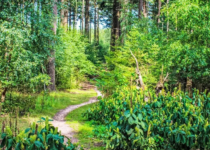 Дом отдыха Tiny House By Interhome *