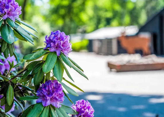 Tiny House By Interhome Дом отдыха Хундерло